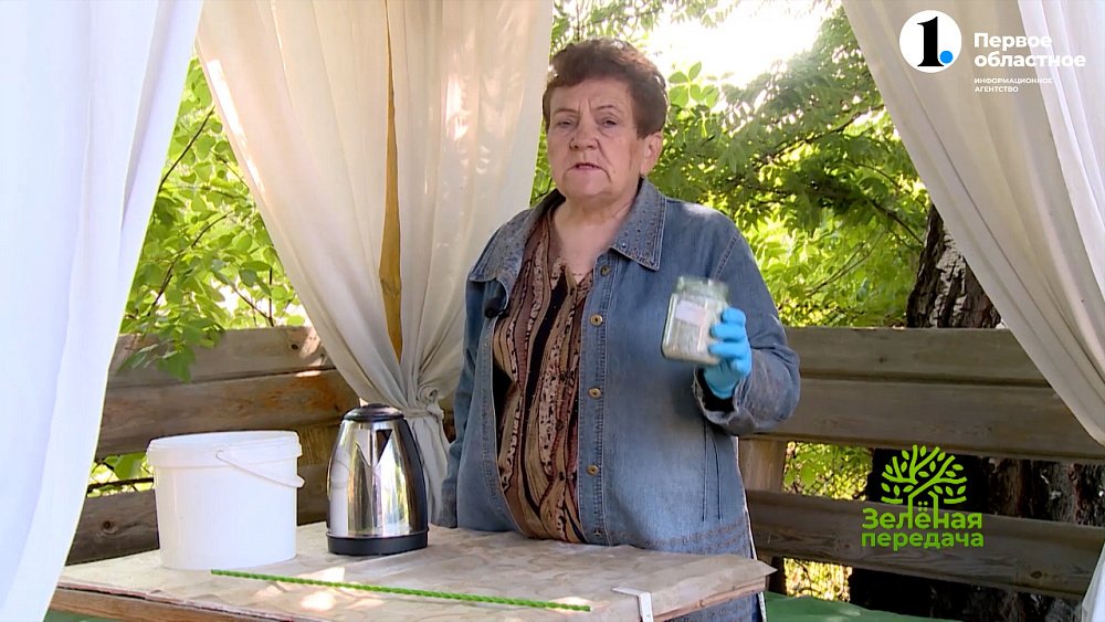 Зола в саду — настоящая находка для садовода