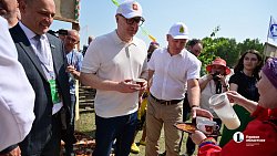 Областной Сабантуй прошел в деревне Аргаяшского района