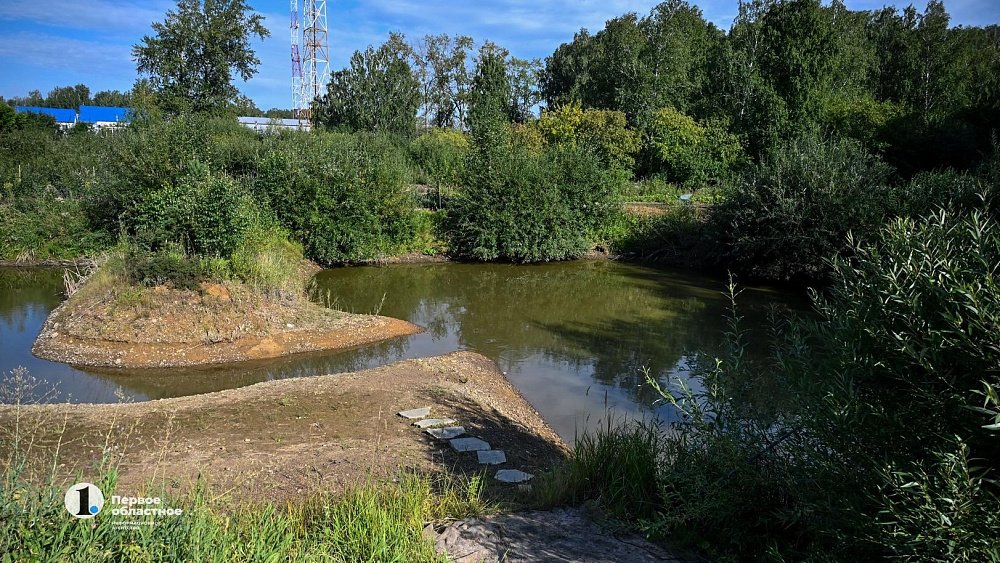 В пруду в Челябинской области утонула 40-летняя женщина