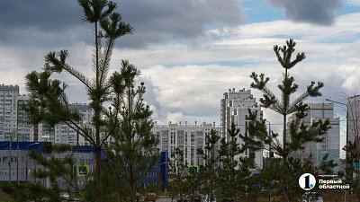 Жителям Челябинска предложили оценить озеленение города
