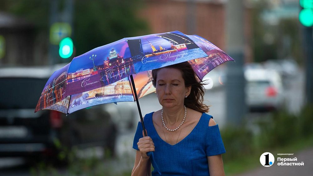 Жару под 40 градусов и дожди с грозами прогнозируют в Челябинской области 10 июля