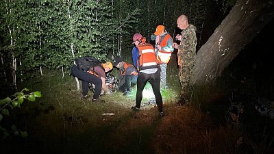 В Челябинской области потерявшуюся в лесу пенсионерку нашли с помощью дрона