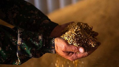 Магнитогорский агрохолдинг «Ситно» инвестирует свыше 4 млрд рублей в новые проекты