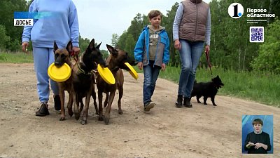 Южноуральцам объяснили как найти пропавшее животное