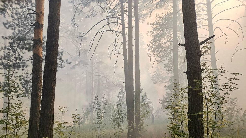 В пригороде Усть-Катава остановили распространение лесного пожара