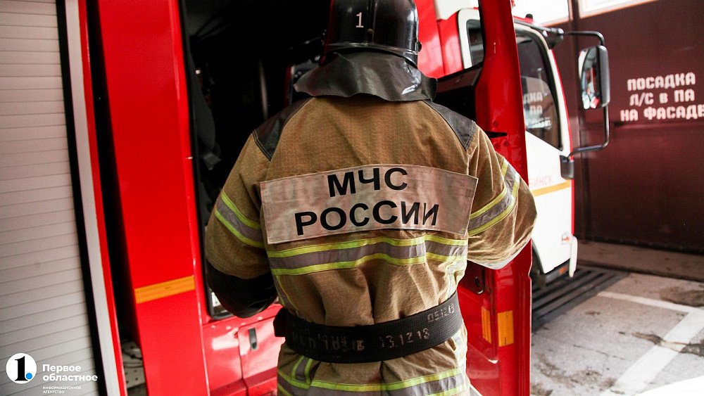 В Челябинской области четвертый день горит Уйский бор