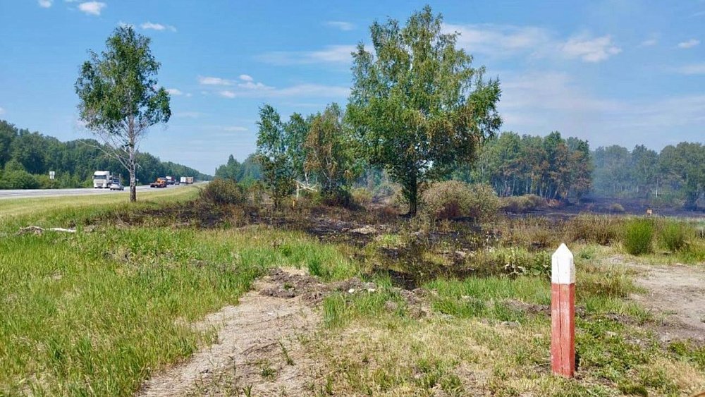 За сутки в Челябинской области ликвидировали 19 лесных пожаров