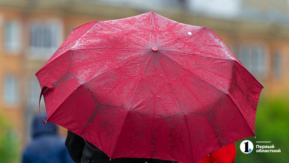 В Челябинской области 14 июля ожидается дождливая и ветреная погода