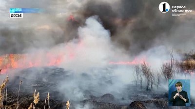 В ГУ лесами рассказали об особенностях противопожарного режима