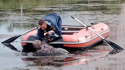 В Челябинске пожилая женщина чуть не утонула в болоте