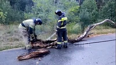 В Челябинске неизвестные подожгли бревно в парке Гагарина