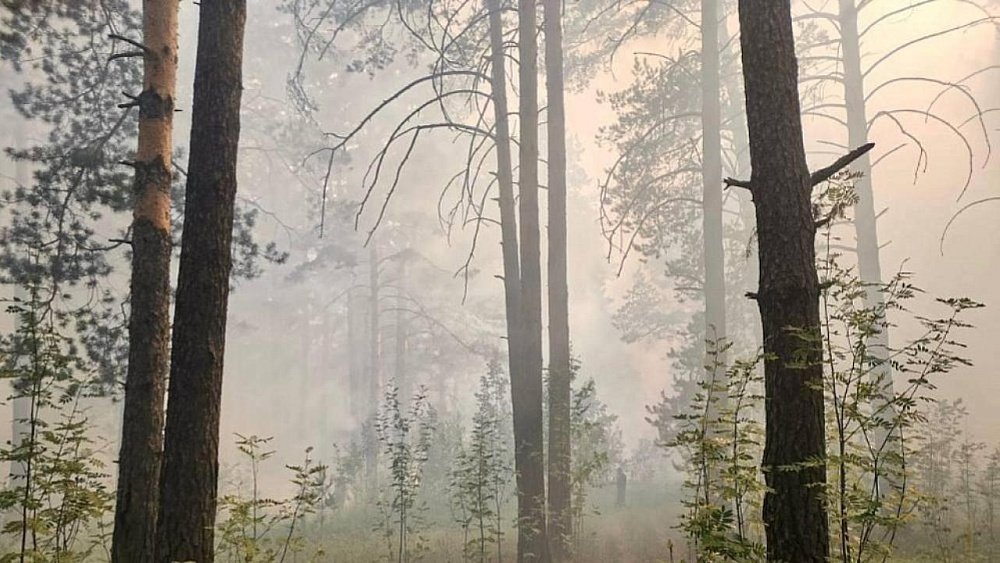 В Челябинской области почти на 50% увеличилось число пожаров в 2023 году