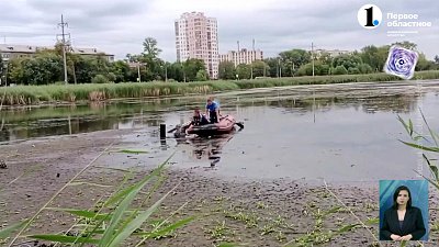 В Челябинске пенсионерка застряла в трясине
