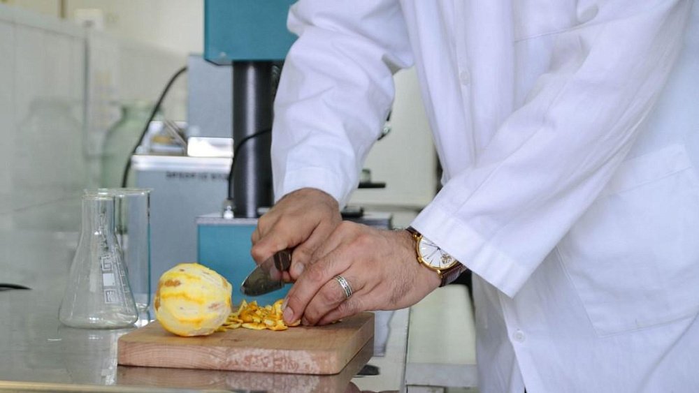 Ученые из Челябинска доказали пользу апельсинов при профилактике болезни Альцгеймера