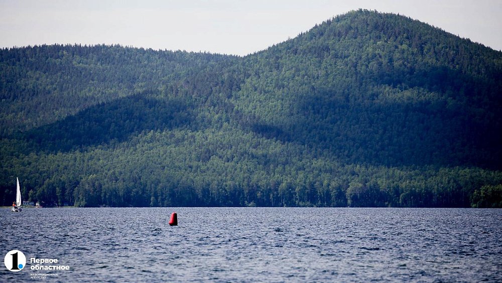 В Челябинской области предложили запретить рубки леса вокруг Тургояка