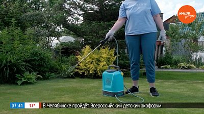 Боремся с сорняками на газонах в рубрике «Руки садовода»