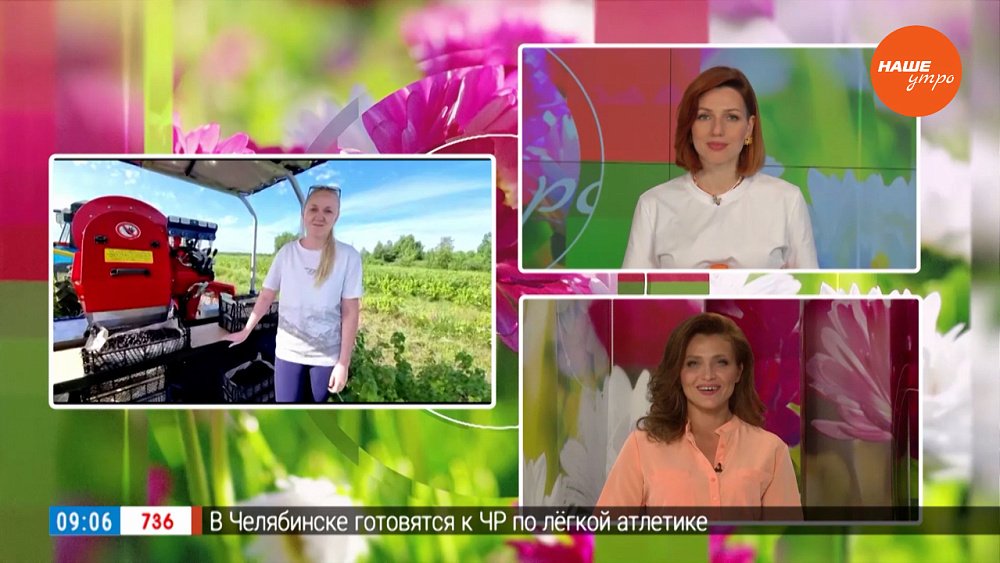 Бесплатные ягоды — Гость на связи