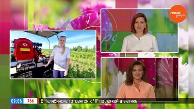 Бесплатные ягоды — Гость на связи