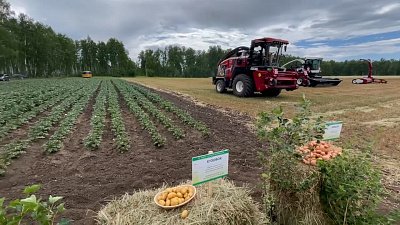 В Челябинской области открылась выставка «День поля — 2023»