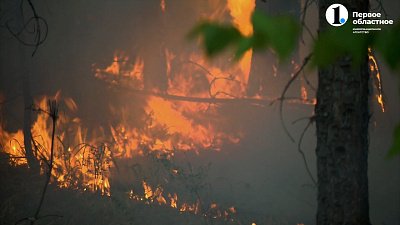 Джабык два года спустя: восстановление леса и новая жизнь погорельцев