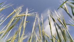 Челябинские аграрии выбирают комплексный подход