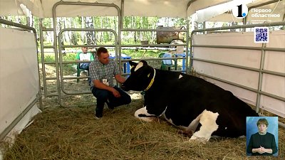 В Чебаркульском районе проходит День Поля