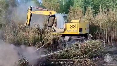 В Каслинском районе природный пожар попал на видео