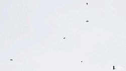 Инструктор челябинского аэроклуба рассказал, почему люди решаются на прыжок с парашютом