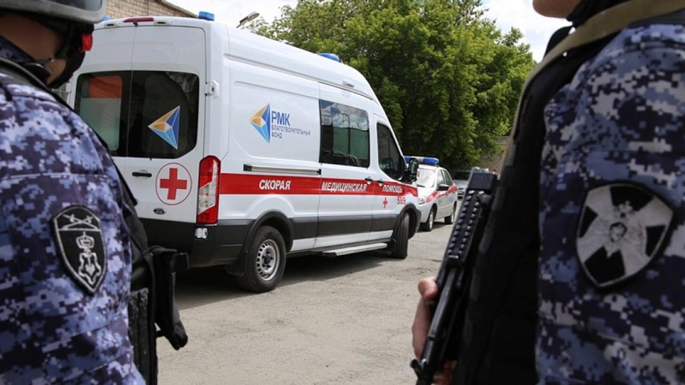 Челябинец съел мухоморы и напал на фельдшера скорой помощи