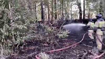 В Каслинском районе горит торф на площади около 200 квадратных метров