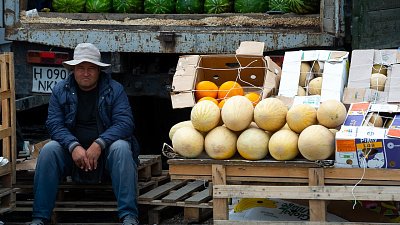 Россельхознадзор назвал поставщиков дынь и арбузов в Челябинскую область