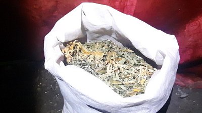 В Челябинске задержали хозяина наркоплантации