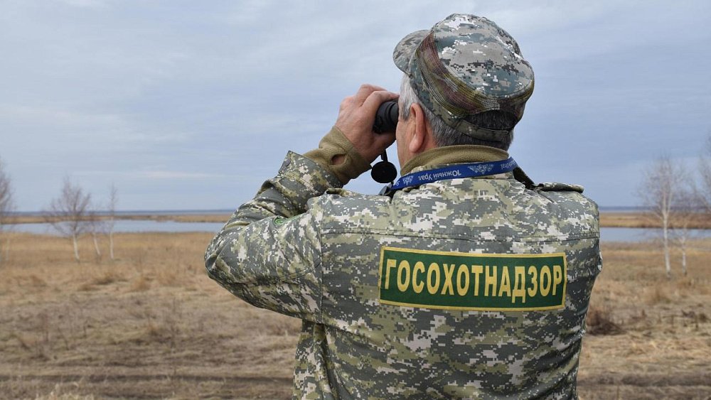 В Челябинской области убийство косули стоило браконьеру снегохода за полмиллиона рублей