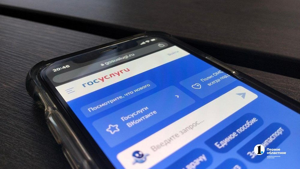 Девять тысяч южноуральцев проголосовали за появление интернета в поселках в 2024 году