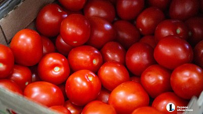 В Челябинской области подешевели помидоры и капуста