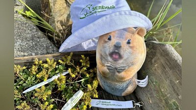 В Челябинске появился интернет-журнал, где простым языком рассказывают о достижениях ученых