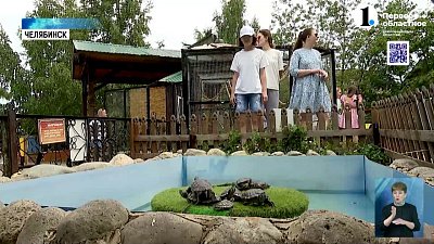 Агрессивный (не)друг: от какого питомца люди отказываются чаще всего?