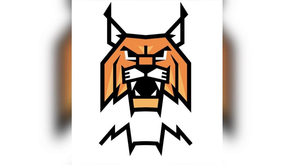 Гандбольный клуб «Динамо-Сунгуль» представил новый логотип команды