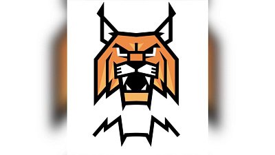 Гандбольный клуб «Динамо-Сунгуль» представил новый логотип команды