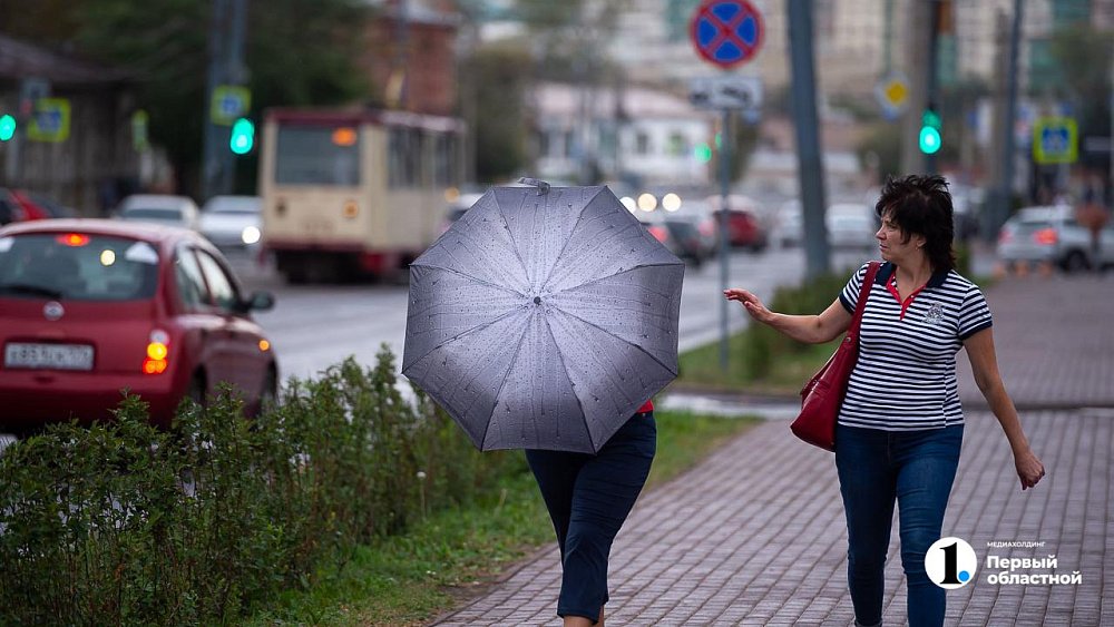 Жителей Челябинской области предупредили о грозах и порывистом ветре 4 августа