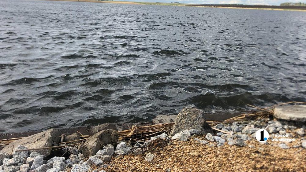 В Челябинской области женщина утонула, спасая ребенка