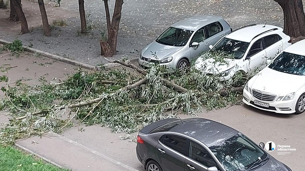 В Челябинской области штормовой ветер оборвал провода и повалил деревья 6 августа