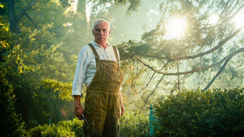 «Ночь кино» состоится в трех челябинских кинотеатрах