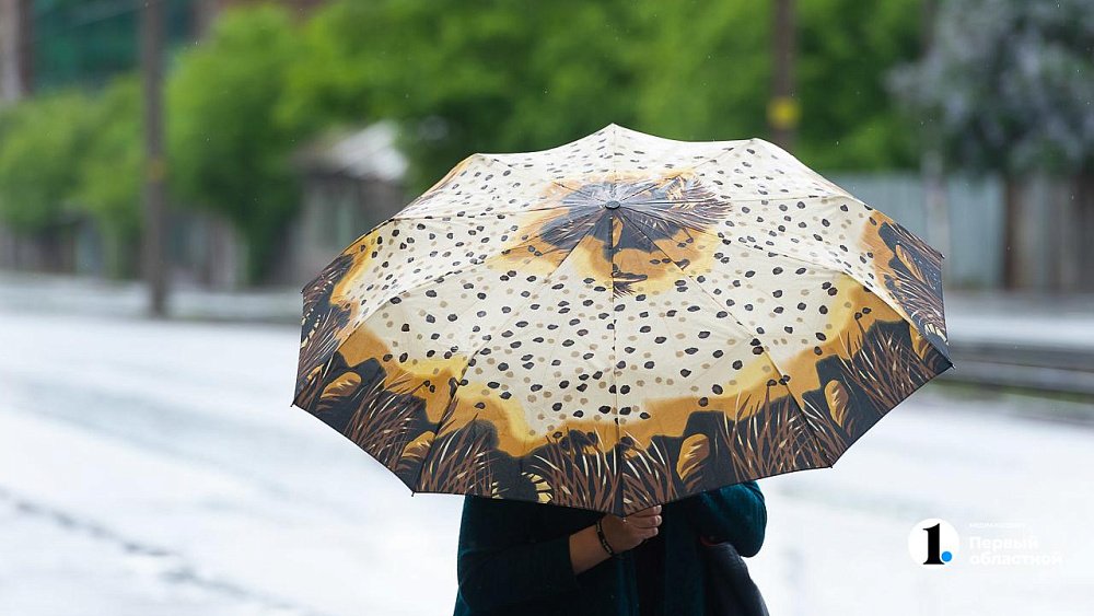 Шквалистый ветер, ливни и град прогнозируют в Челябинской области 8 августа