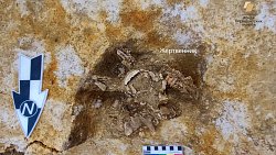 На детском кладбище Синташты нашли жертвенник с черепом козы