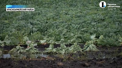 Алексей Текслер работает в Красноармейском районе