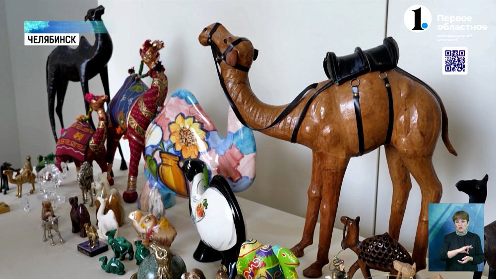 В историческом музее Челябинска откроют выставку о верблюдах