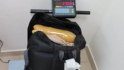 В Челябинск пытались незаконно ввезти полтонны продуктов из Таджикистана