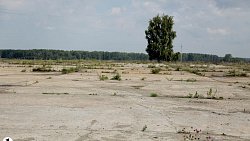 В Челябинской области уберут 218 незаконных свалок и установят новые контейнеры