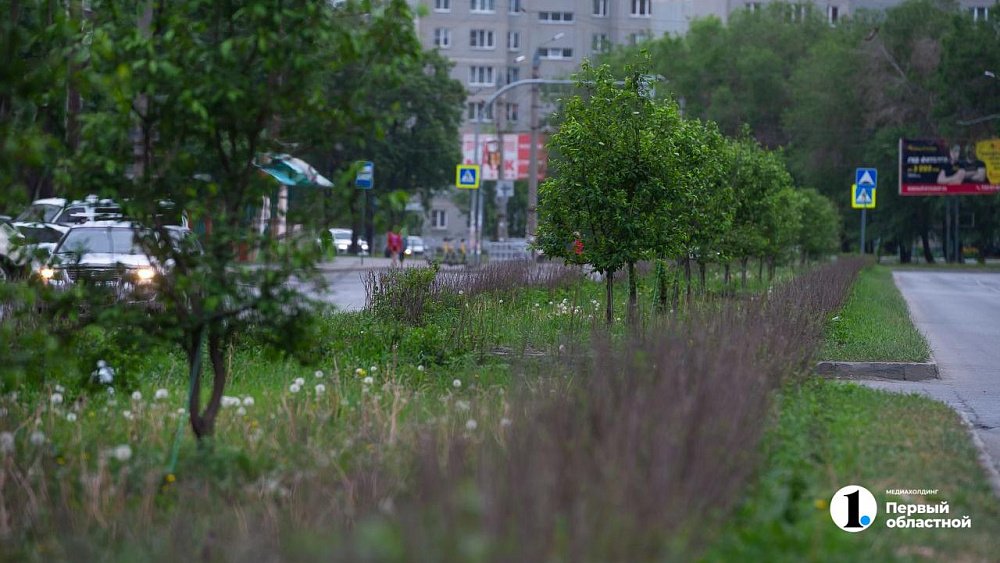 В Челябинске вырубят более 130 сухостойных деревьев